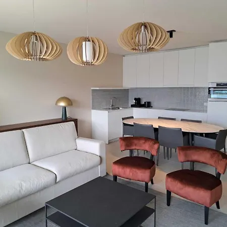Modern In With Terrace